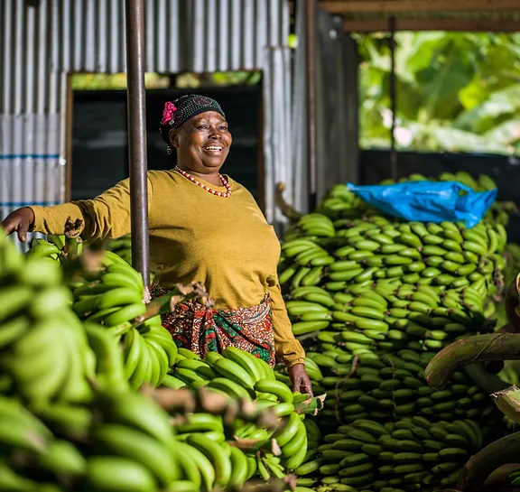 Smiling woman standing among piles of green bananas.