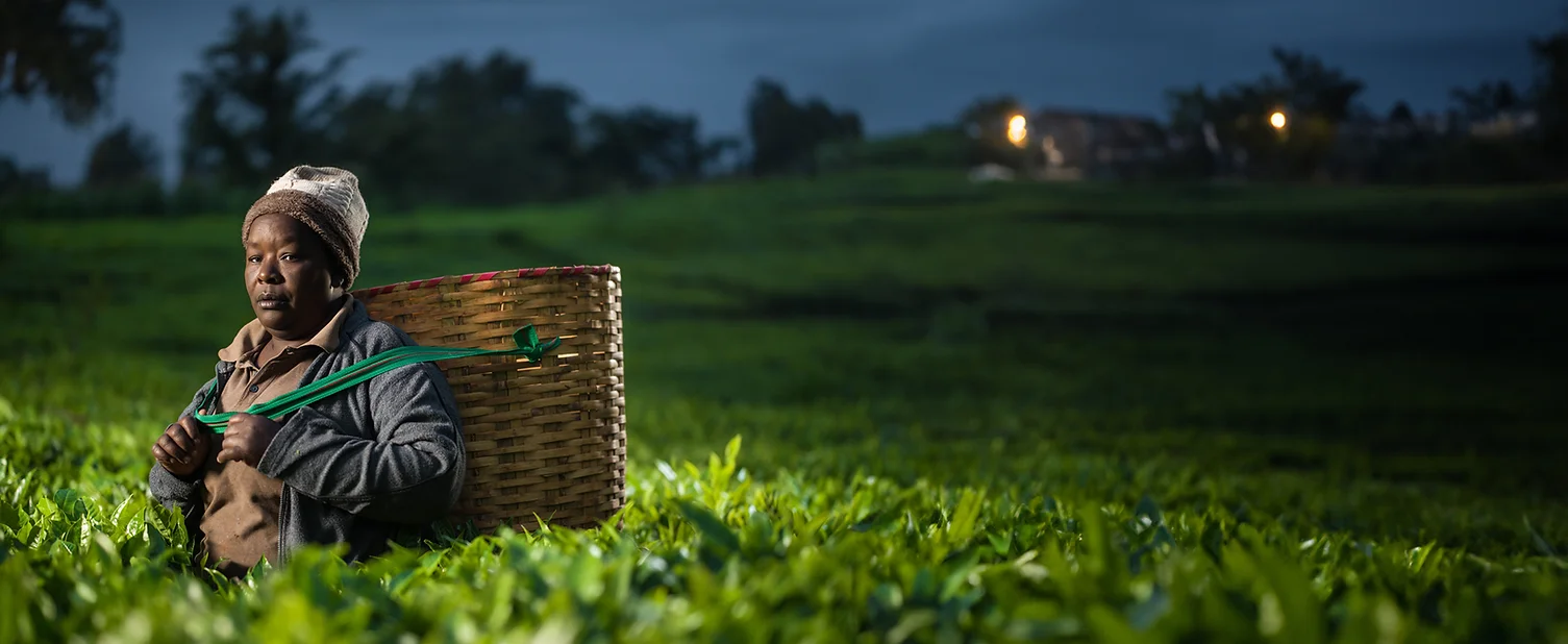Woman carrying a basket in a green field.