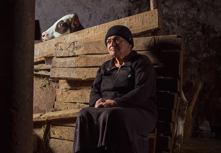 AFSD client sitting in a barn with a cow.